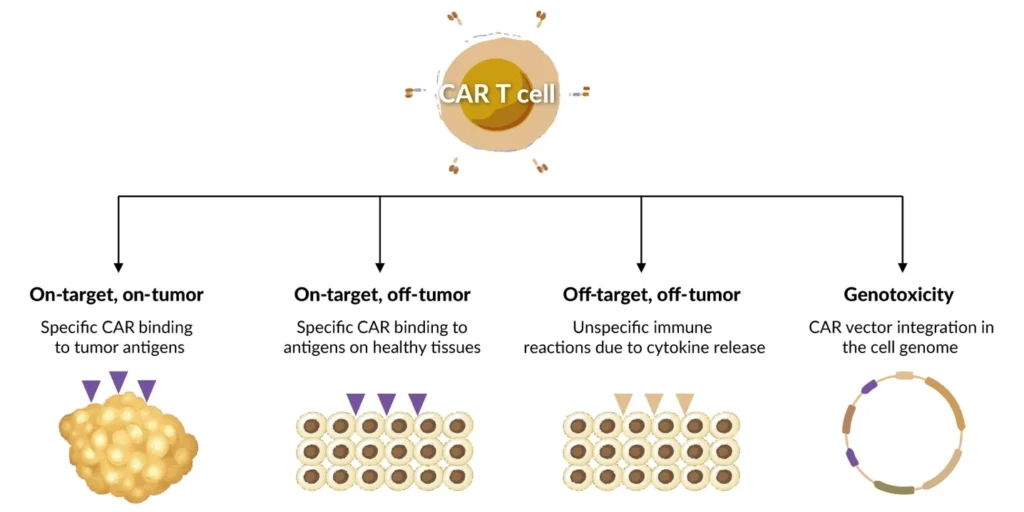car t cell transplant